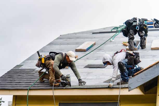 Professional Gutter Installation technician working in The Colony, TX